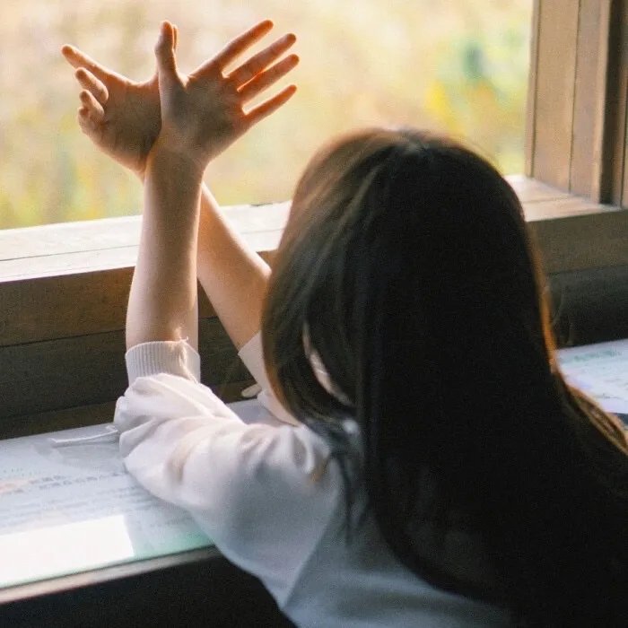 落在香杉树的雪花